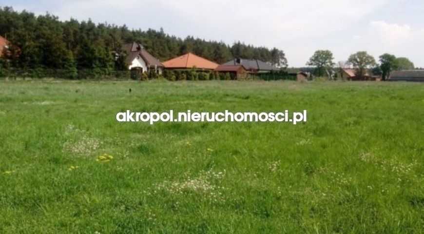 na sprzedaż działka Zielonka 