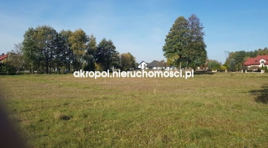 na sprzedaż działka Kruszyn Krajeński 